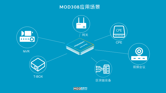 安全加密模组应用场景_MODSEMI_NVR_CPE